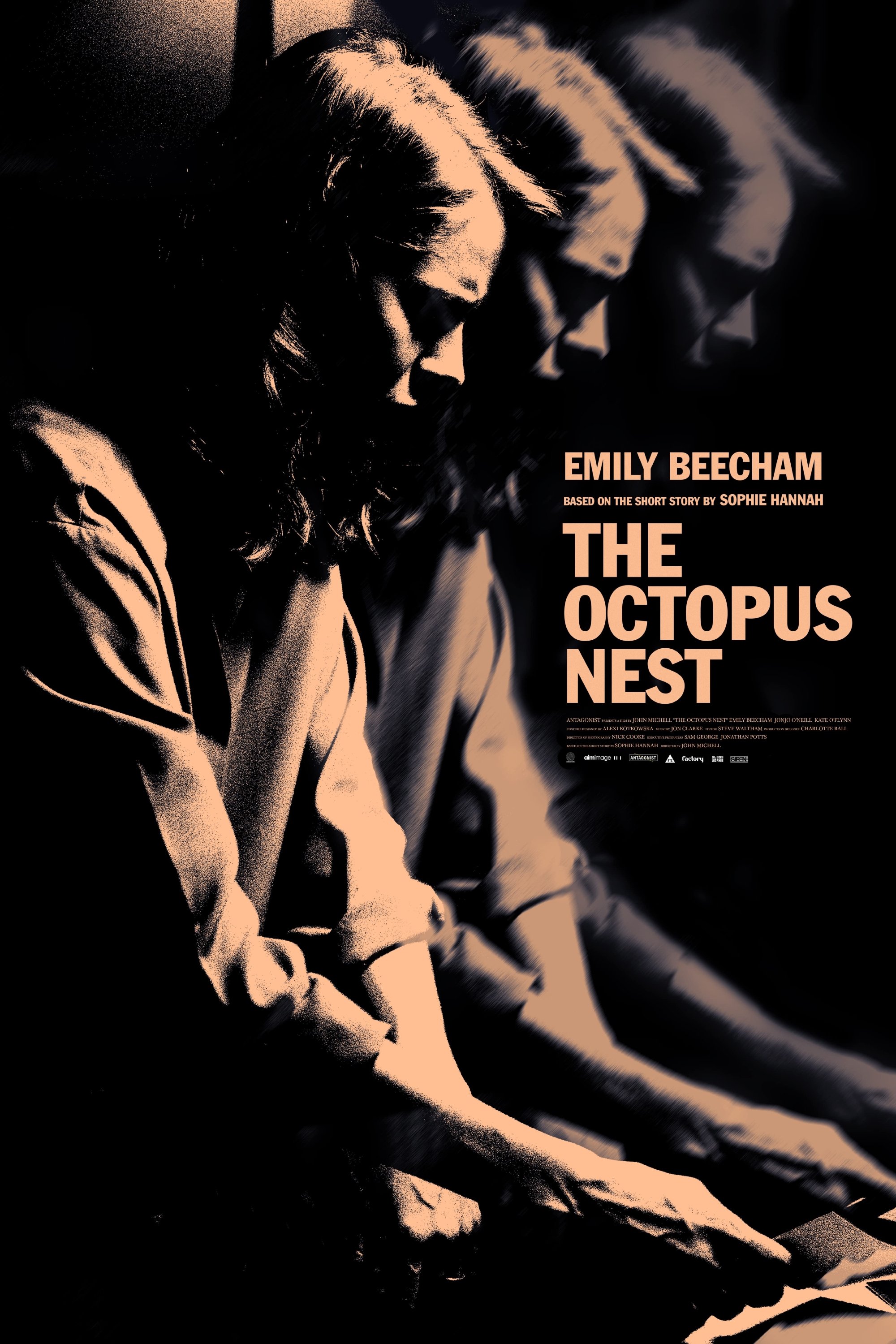 Постер The Octopus Nest